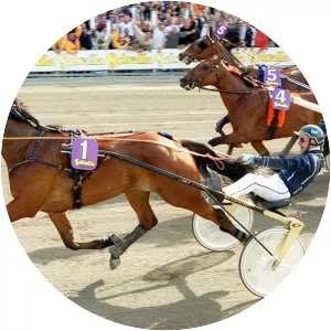 Général du Pommeau