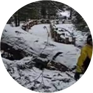 General Sherman Tree