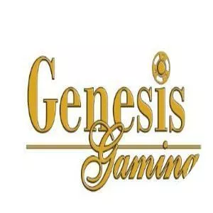 Genesis Gaming Solutions - Company
