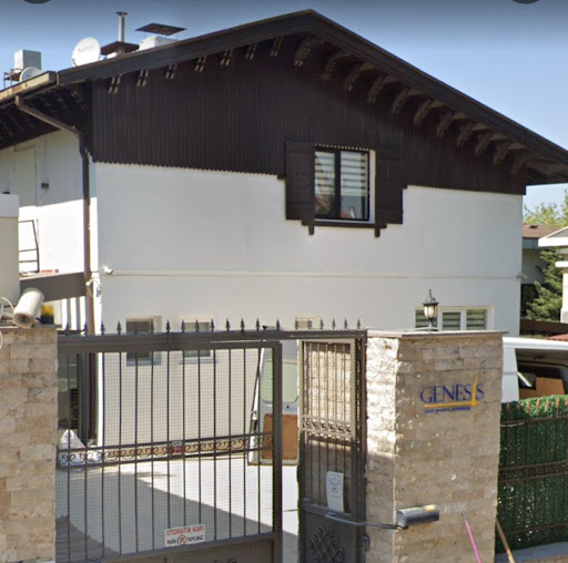 Genesis Hair Transplant