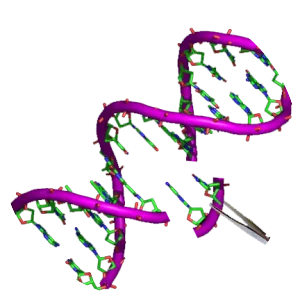 Genetic engineering - 