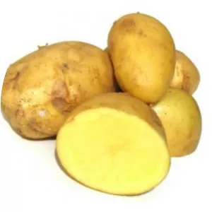 Genetically modified potato - Food