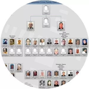 Genovese crime family