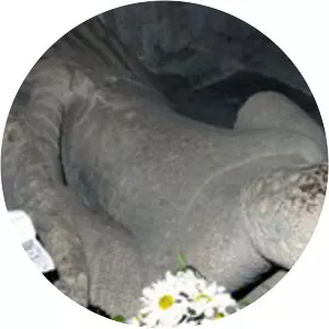 Geoffrey Fitz Peter, 1st Earl of Essex photograph