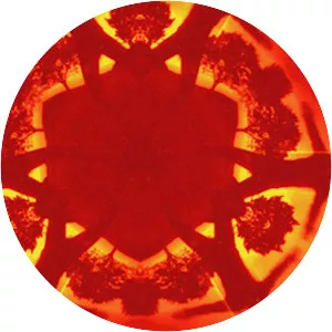 Geogaddi - Studio album by Boards of Canada