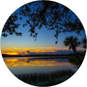 George LeStrange Preserve - 