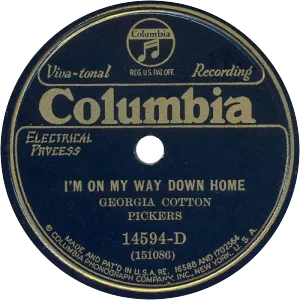 Georgia Cotton Pickers