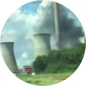 Georgia Power Plant Scherer