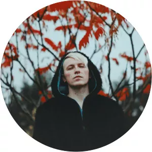 kazimieras likša geraigerai