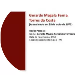 Gerardo Magela Fernandes Torres da Costa - Journalist