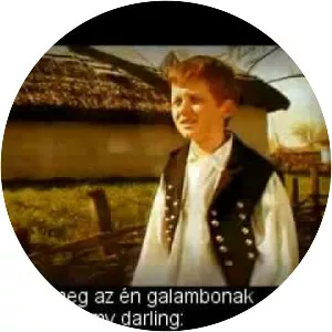 Gergő Bíró - Singer