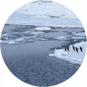 Gerlache Strait - Strait in the Antarctic