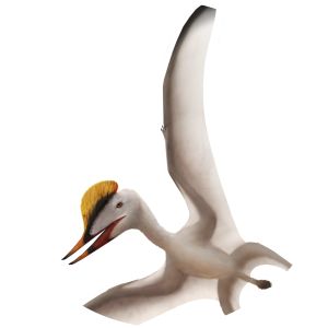 Germanodactylus - Animal