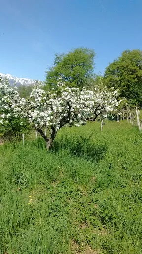 GES.TER. studio associato - Environmental consultant in Italy