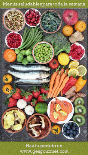 Gesgourmet Comida a Domicilio - Caterer