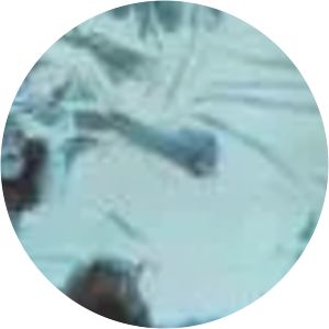 Gezichten In Het Water