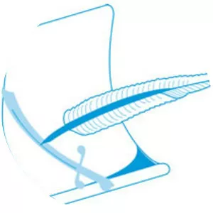 Ghana Journalists Association