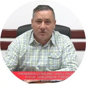 Gheorghe Firon - Politician