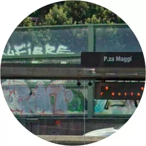 Gian Antonio Maggi - Mathematician