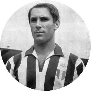 Giancarlo Bercellino - Italian footballer