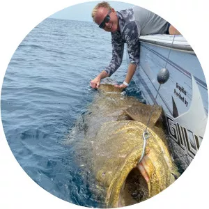 Giant grouper - Fish