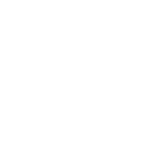 Giant Panda Guerilla Dub Squad - Band