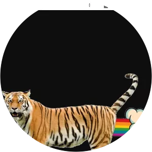 Giant Realistic Flying Tiger photograph