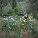 Giardino dell'Iris - 
