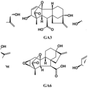 Gibberellic acid - Chemical compound