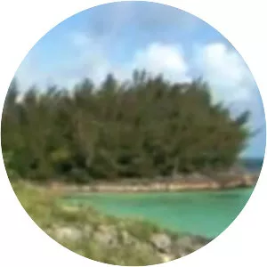 Gibbet Island, Bermuda - 