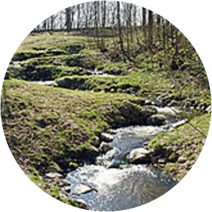 Giber Å - Stream in Denmark
