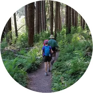 Gifford Pinchot National Forest - National park in Washington