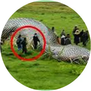 Gigantophis garstini