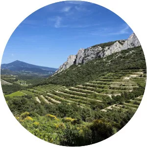 Gigondas AOC - Appellation