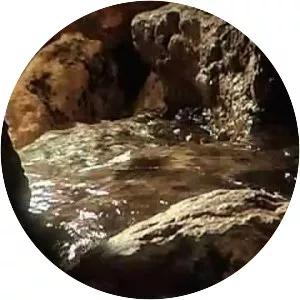 Gihon Spring - Spring in Asia