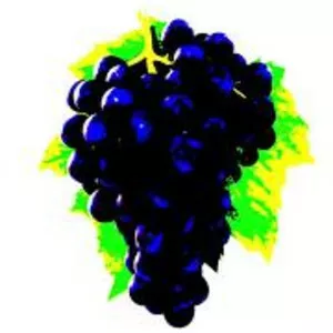 Gilda Valença - Actor