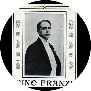 Gino Franzi Musician