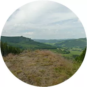 Ginsterkopf