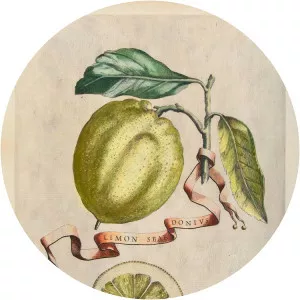 Giovanni Baptista Ferrari