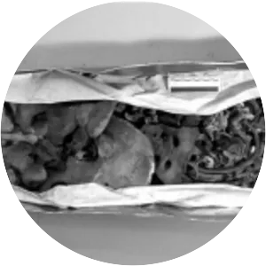 Giovanni dalle Bande Nere