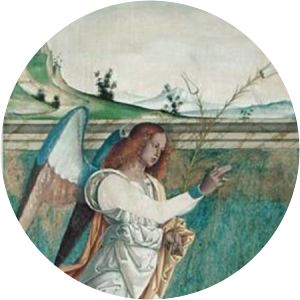 Giovanni Speranza de' Vajenti