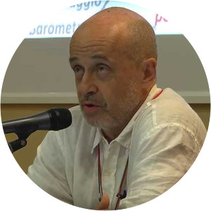 Giovanni Zibordi - Politician