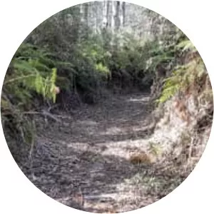 Gippsland Lakes Discovery Trail - 