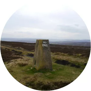 Gisborough Moor