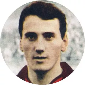 Giuliano Fortunato - Italian football player