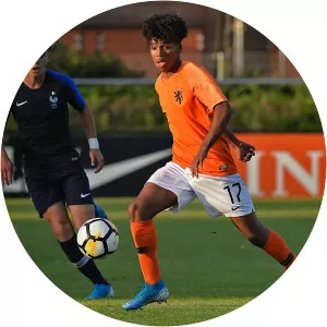 Giuliany Lorenzo Ben-David dos Santos