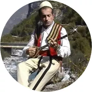 GJOVALIN SHANI - Musical artist