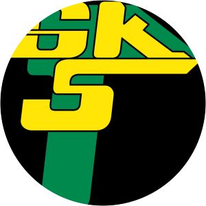 GKS Gornik Leczna photograph