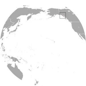 Glacier Bay water shrew