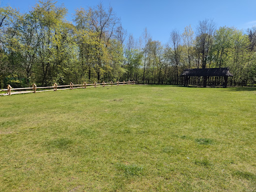Glade with recreational place - National forest in Wierzchoslawice, Lesser Poland Voivodeship, Poland